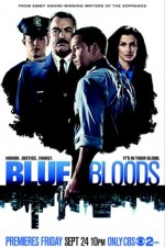 Watch Blue Bloods Tvmuse